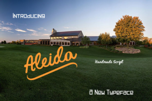Aleida Script Handwritten Font for Crafters & Sellers