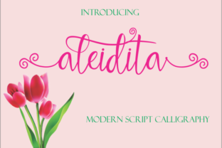 Aleidita: A Modern Calligraphy-Style Script Font for Small Business Branding