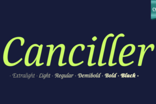 Canciller Family: Elegant Script Handwritten Fonts for Branding