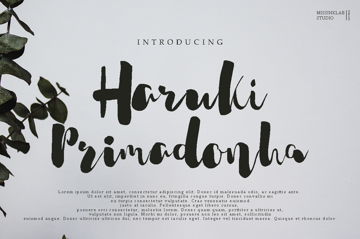Haruki Primadonha: A Modern Script Font for Thoughtful Branding