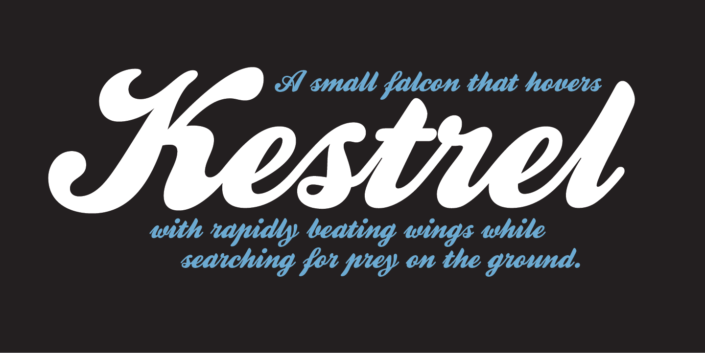 Kestrel Script: A Rediscovered Classic for Modern Design