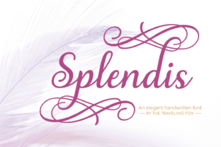 Splendis Script Handwritten Font Review for Real Branding Work